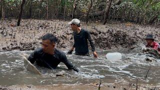 Bất Ngờ Lãng Tử Chạm Tráng Cá Mặt Quỷ Trong Rừng Sác Catching poisonous fish in the water forest