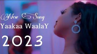 WARDA HAPPY2023 | YAA KAA WAALAY | OFFICIAL VIDEO