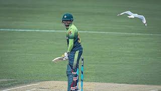 Babar Azam 50(29)* Vs New Zealand 2nd T20 2018 Ball By Ball Highlights