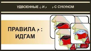 Айман Сувейд. 3. Правило мим с сукуном ИДГАМ (русские субтитры)