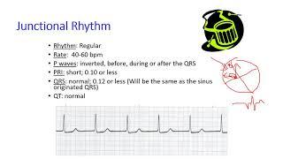 Junctional Rhythms 2020