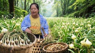 夫妻俩上山采野生藠头，老罗不一会就摘了一大筐，正好拿回家腌制野生藠头！#农村生活#野生藠头