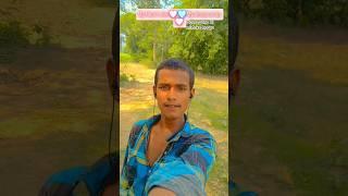 mai kahi bhi rahu #army #mast #armylover #ringtone #sad #bhojpuri #bhojpurisong #photography #vlog