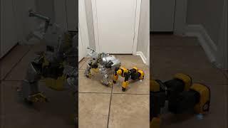 Bumblebee & Grimlock workout #transformers #bumblebee #grimlock #shorts #robot #workout #cool #fun