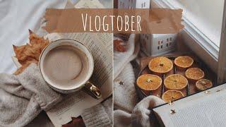 Vlogtober Day 3 Why Ae People Clearing Off Shelves of Toilet Paper Again!