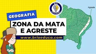 Geografia: Zona da Mata e o Agreste | Brio Educação