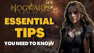 5 MUST-KNOW Tips to GET MORE Gold, EXP, Loot in Hogwarts Legacy… (I wish I knew this EARLY!)