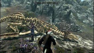 Skyrim Dragon Hunting & Friends