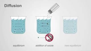 The difference between osmosis and diffusion