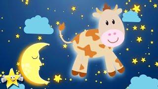  Mozart for Babies  Baby Sleep Music - Lullabies