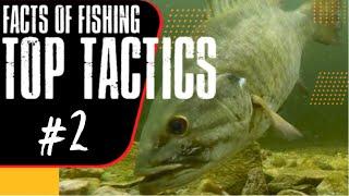 TOP TACTICS #2 - Dave Mercer's Facts of Fishing THE SHOW Season 13 Full Episode