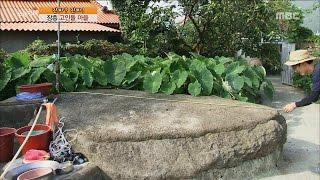 [Live Tonight] 생방송 오늘저녁 184회 - Jangheung dolmen village 장흥 고인돌 마을 20150810