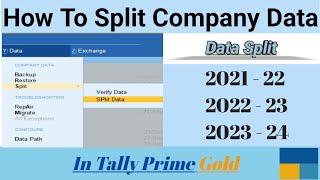 How To Split Company Data // Data Split // In Tally Prime Gold !!