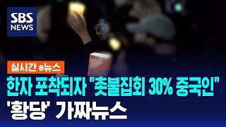 한자 포착되자 "촛불집회 30% 중국인"…'황당' 가짜뉴스 / SBS