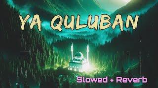 Beautiful Nasheed - Nasheed | Ya Quluban | Heart Touching Nasheed | Slowed + Reverb