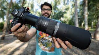 BEST Budget Wildlife Photography Lens? Canon RF 800mm f/11 Lens Review