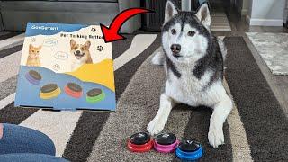 Your Dogs Can TALK To You With These Buttons!