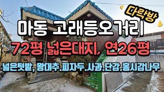 [1억6500만]마동고래등오거리주택,다락방