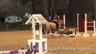 Hailey Royce and Chatterbox