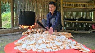 Fresh Cassava Harvesting Process And Processing Delicious Food For Pigs - Pet Care | Solo Survival