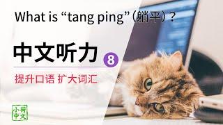 中文听力训练8 : Mandarin Listening - Improve Chinese listening skill（CC字幕）