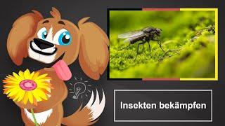  Insekten bekämpfen – Diese Methoden und Hausmittel helfen