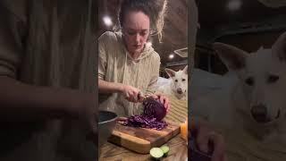 Dinner a van, at a TRUCK STOP  #vanlife #homemade #ontheroad