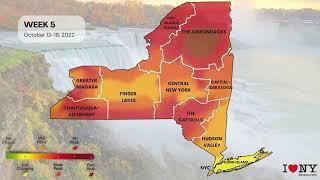 2022 New York State Fall Foliage Map Timelapse