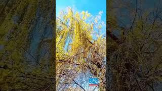 Colors of Gilgit Baltistan Pakistan #pakistan