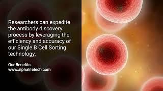Revolutionizing Single B Cell Sorting with Alpha Lifetech! 