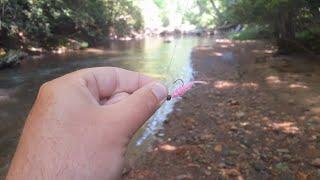 Trout Fishing ZERO TO HERO With This ONE LURE || Big Trout Landed!