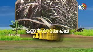 Matti Manishi Full Episode | మట్టి మనిషి | Agriculture Tips | 24-11-2024 | 10TV Agri