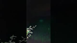 Watch on big screen. Tiny paranormal orbs flying around