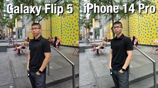 Samsung Galaxy Z Flip 5 vs iPhone 14 Pro Camera Comparison