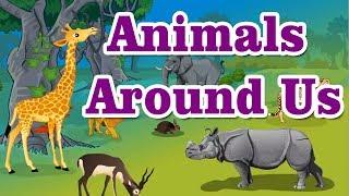 Class1 | EVS | Animals Around Us | Land Animals