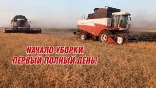 | Уборка гороха | Начало уборочной страды 2024 17.07.24 | 