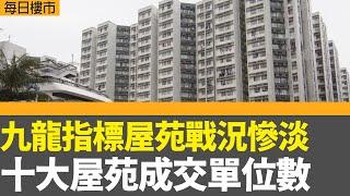 每日樓市｜九龍指標屋苑戰況慘淡 新盤市場主導 十大屋苑成交回落至單位數｜恒指結束兩連跌收市企穩二萬三千點，科指三連跌｜28Hse特約 : 每日樓市│HOY TV資訊台有線新聞