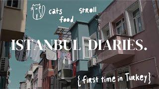 istanbul diaries  | first time in turkey, (vegan) food, roaming in the city of cats