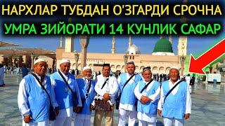 НАРХЛАР ТУБДАН О'ЗГАРДИ СРОЧНА,УМРА ЗИЙОРАТИГА 14-КУНЛИК САФАР ПРИМОЙ РЕЙСЛАР.УМРА ЗИЙОРАТИ 2024