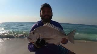 Chasing the Legendary Indian Mirror: Epic Saltwater Fishing Adventure with Rudolph Scheepers!