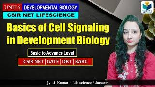 Basics Of Cell Signaling in Development || CSIR NET 2024 || Development Biology