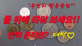 물에 뜨는 동전 찾기 실험 결과는 대박 있다 없다 희귀동전의 조건? 동전 story #1주