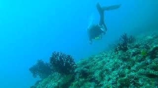 Diving in Strong Current at Madivaru Channel, Maldives