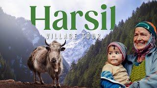 Harsil का नाम कैसे पड़ा हर्षिल? Village tour