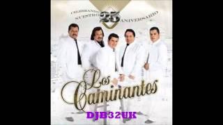 LOS CAMINANTES  MIX