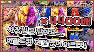 [슬롯] 프라그마틱 버팔로 킹 메가웨이즈 버메가 맥스윈 4400배 잭팟 금액  Pragmatic Play Buffalo King Megaways