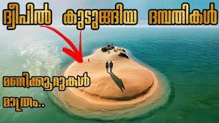 Horizon Line (2020) Explained In Malayalam | Movie Explanation In Malayalam | Malayalam Explanation