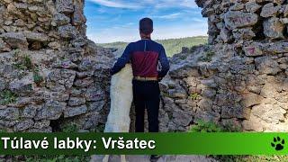 Túlavé labky: Vršatec