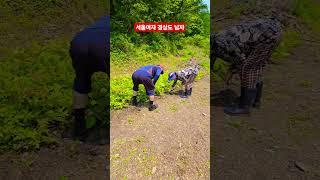 서울여자 경상도 남자 ᆢ