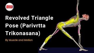 Revolved Triangle: Improve Rotation & Avoid Mistakes